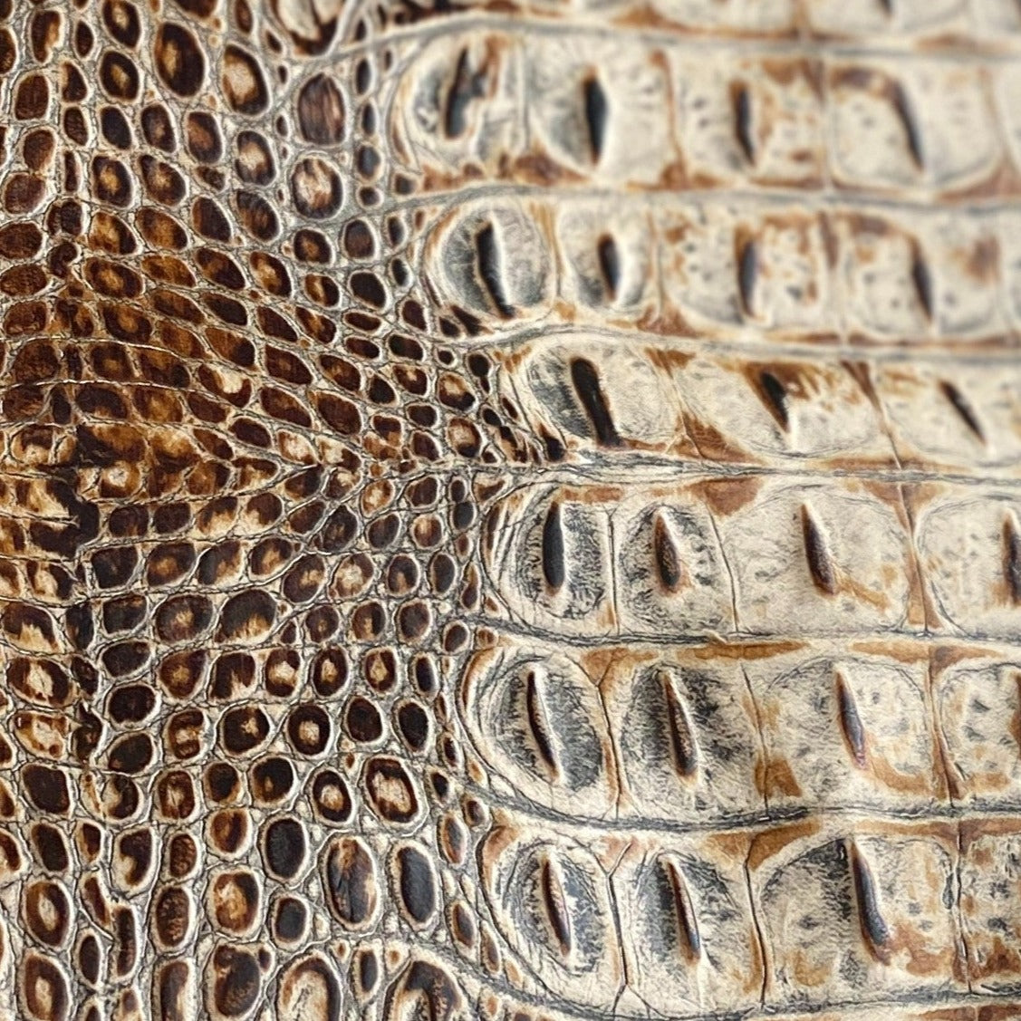 Swatch - Diamondback Crocodile Embossed Leather